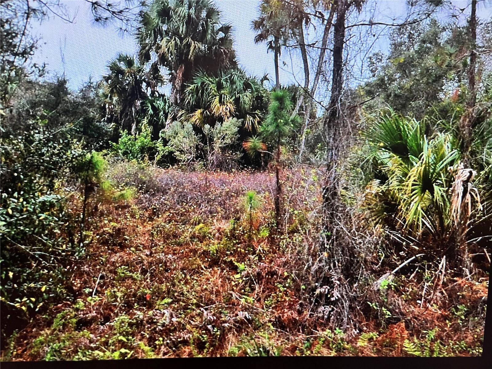 North Port, FL 34288,LOT 31 CORBETT LN