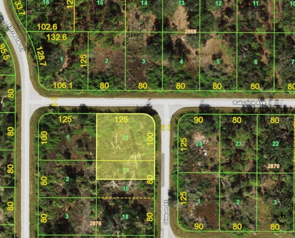 Port Charlotte, FL 33953,1039 GIBBON ST