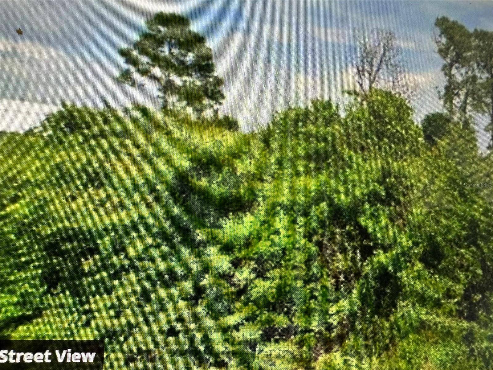 Port Charlotte, FL 33981,12476 BIRTLE AVE