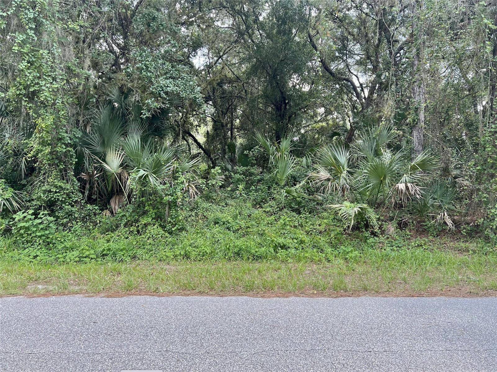 North Port, FL 34286,KALISH AVE