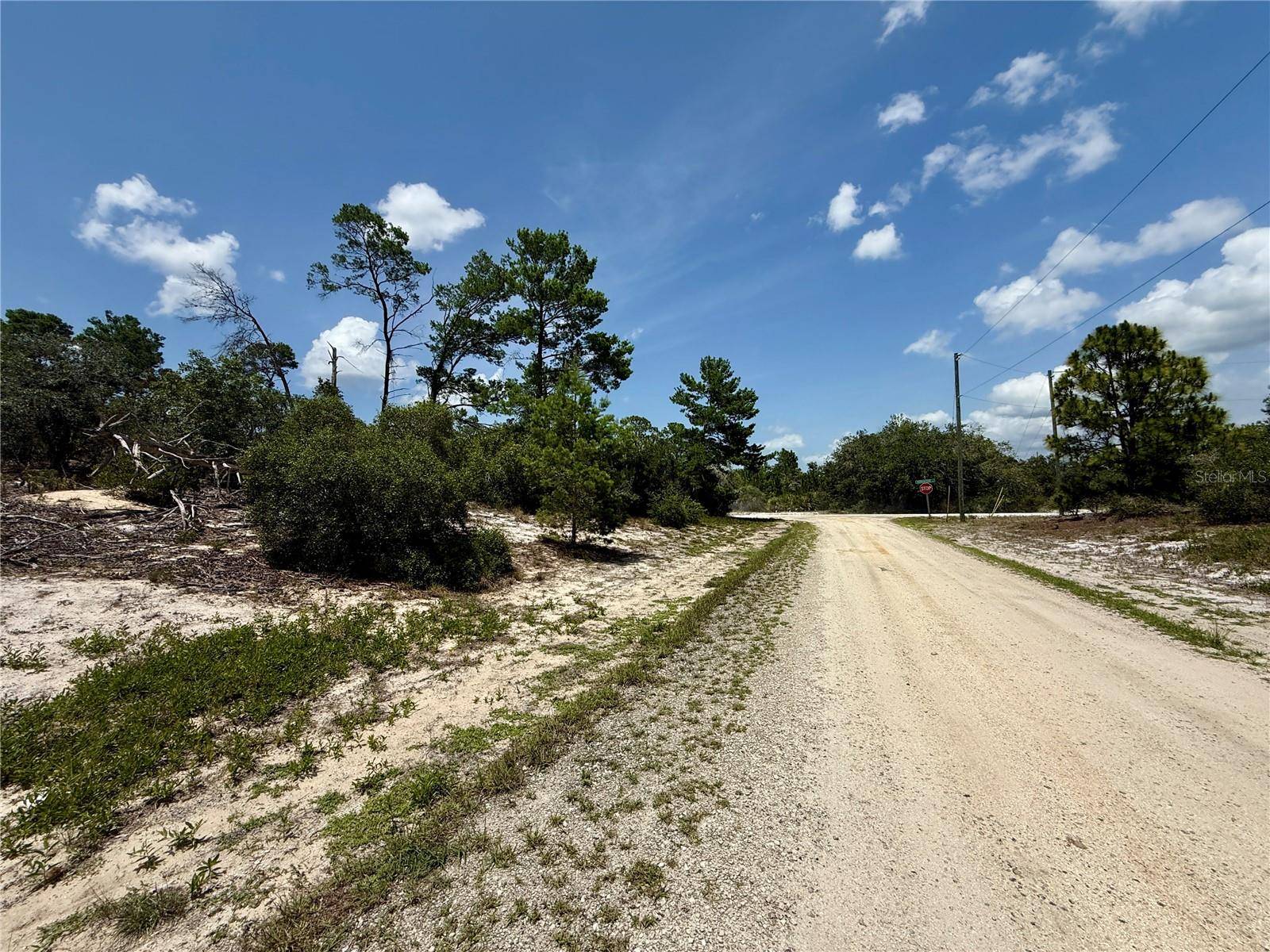 Lake Placid, FL 33852,454 APPLE BLOSSOM CT
