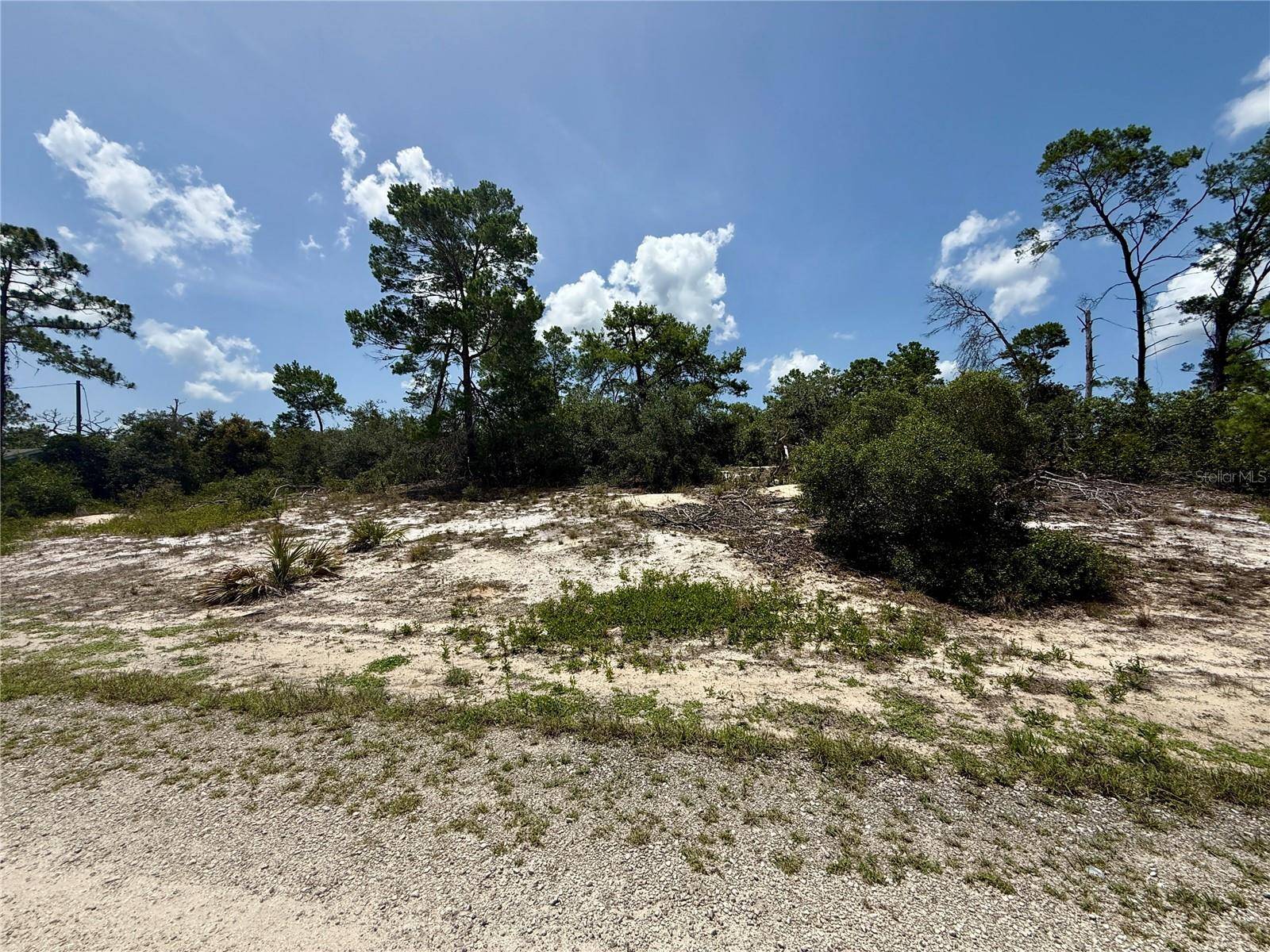 Lake Placid, FL 33852,456 APPLE BLOSSOM CT