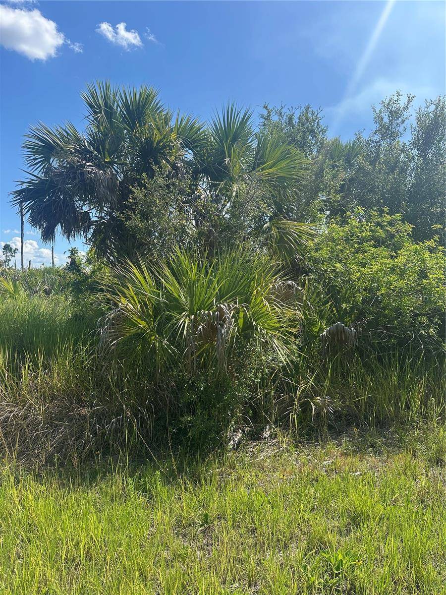 North Port, FL 34288,SNOWDRIFT TER
