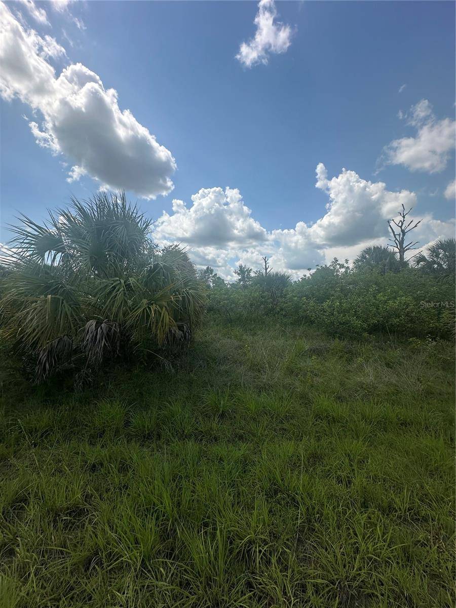 North Port, FL 34288,FRITZ AVE