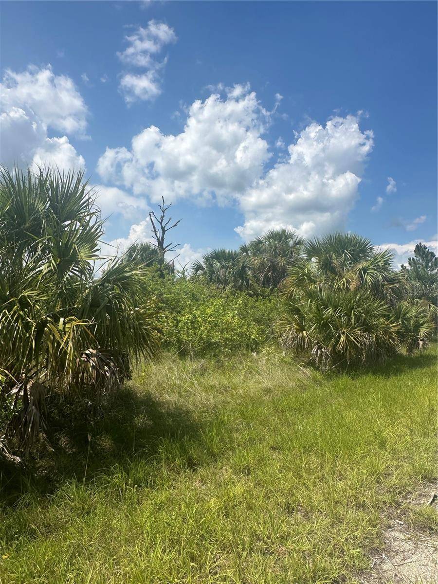 North Port, FL 34288,FRITZ AVE