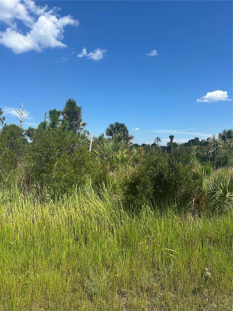 North Port, FL 34288,BOSKOOP RD