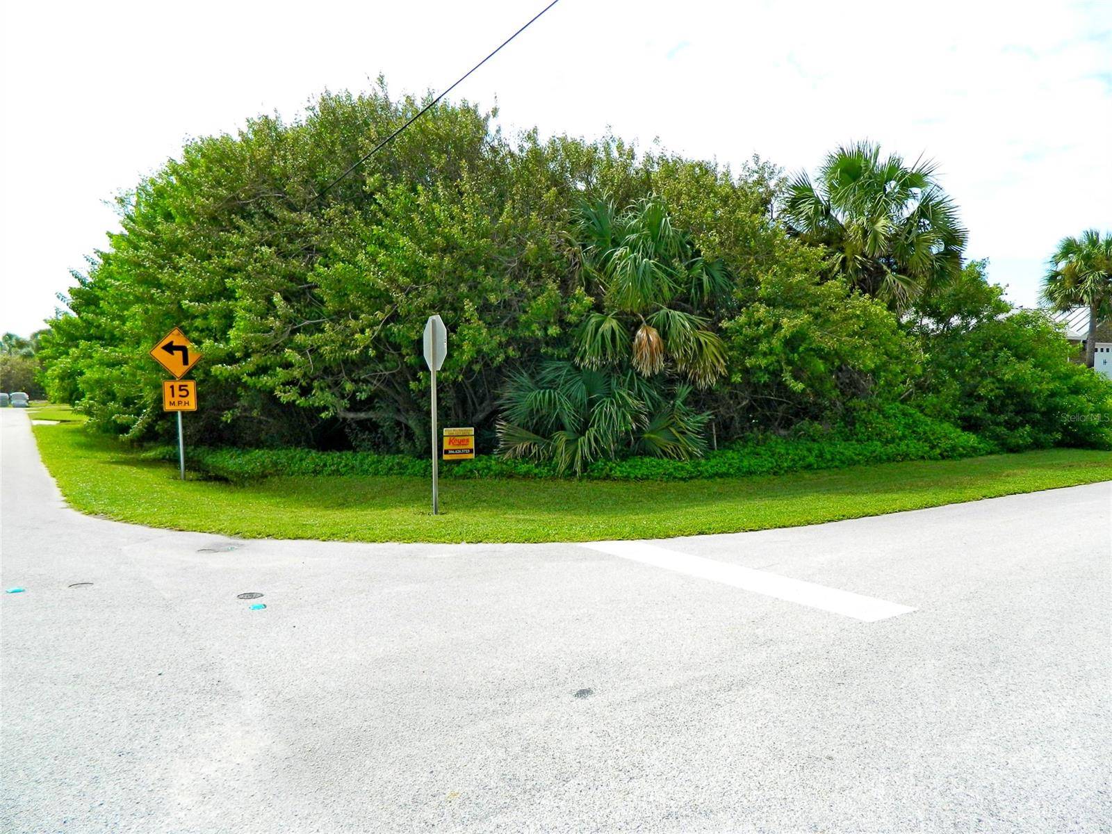 New Smyrna Beach, FL 32169,0 Engram Rd