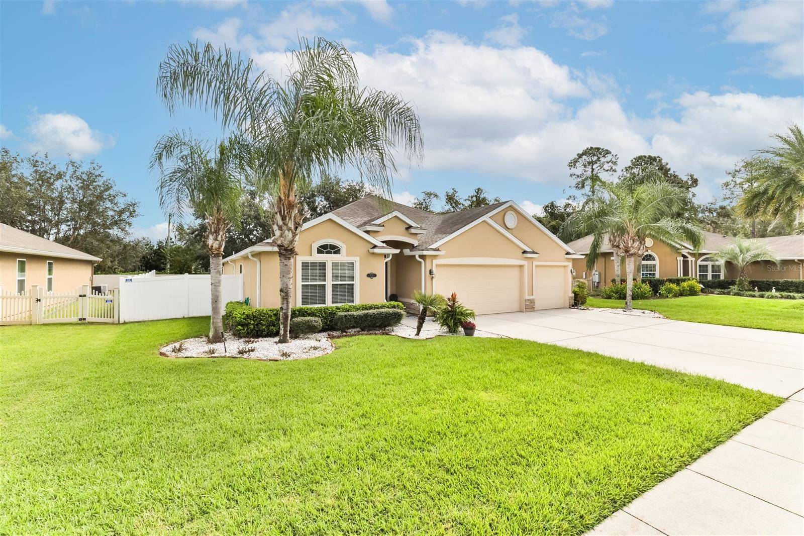 New Smyrna Beach, FL 32168,711 Grape Ivy LN