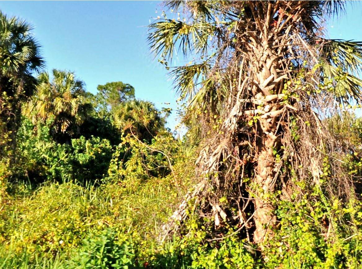 North Port, FL 34286,SNOVER AVE