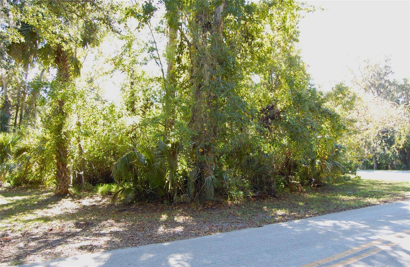 New Smyrna Beach, FL 32168,125 JUNGLE RD