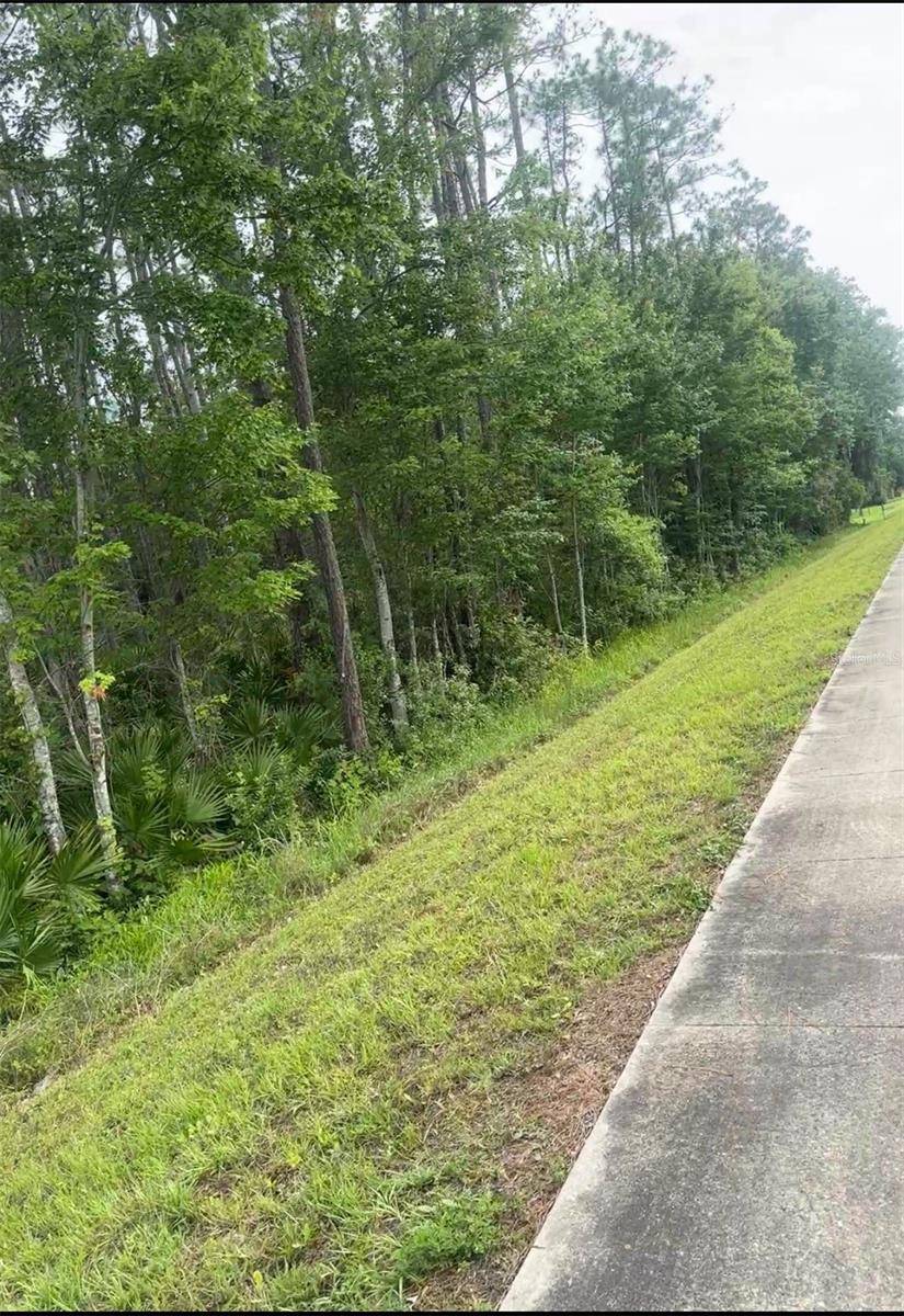 Elkton, FL 32033,3252 9TH ST