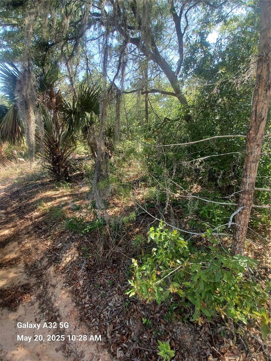 Satsuma, FL 32189,108 RABBIT TRACK RD