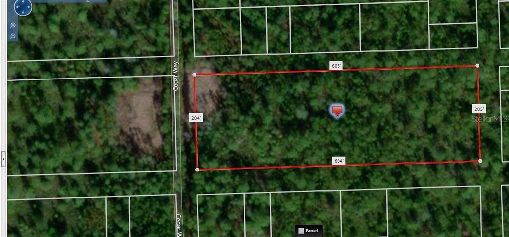 Pierson, FL 32180,NINE MILE POINT RD S