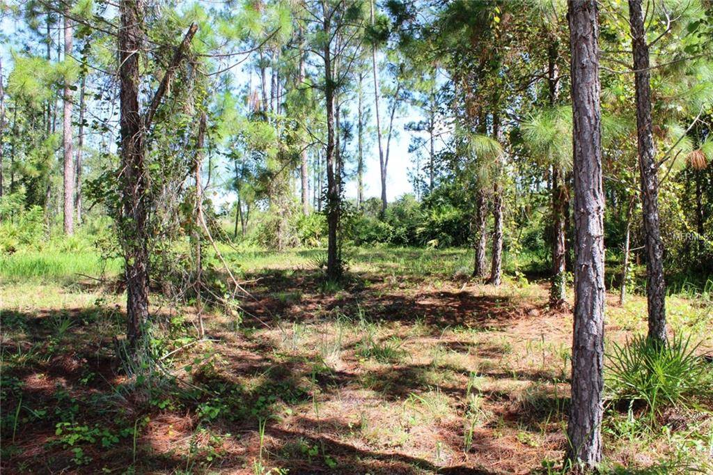 Eustis, FL 32736,ROYAL TRAILS RD