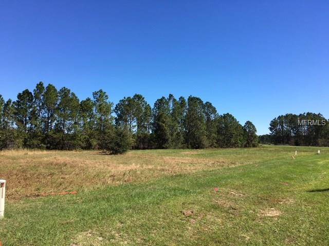 Groveland, FL 34737,419 LONG AND WINDING RD