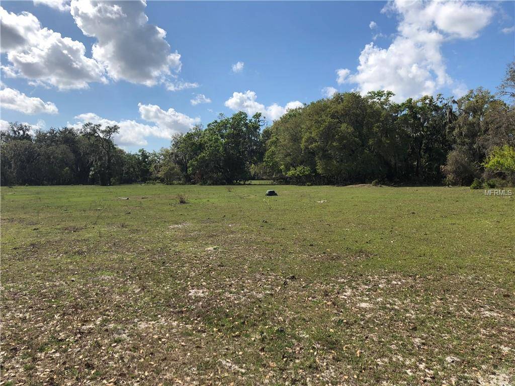 Plant City, FL 33567,0 PITT ROAD LOT 4