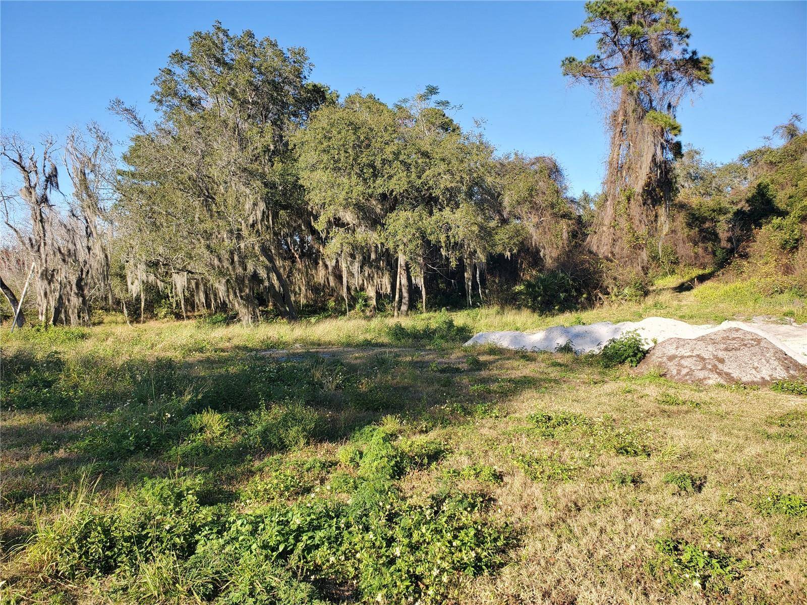 Deltona, FL 32725,732 WATERFALL CIR