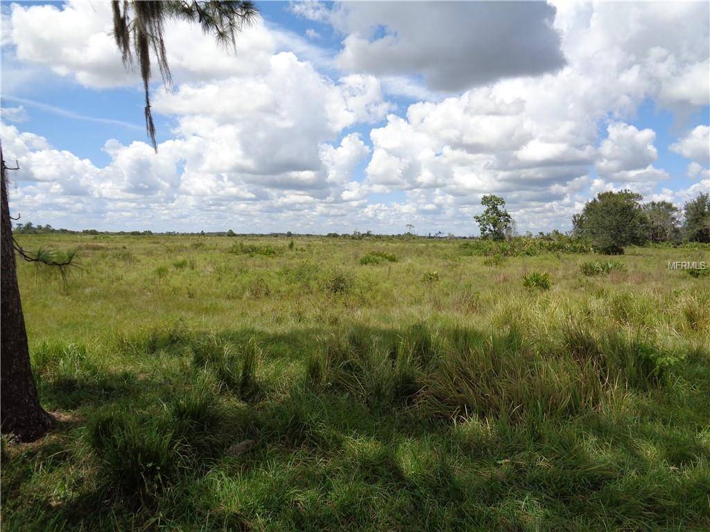 Fort Meade, FL 33841,COUNTY LINE RD E