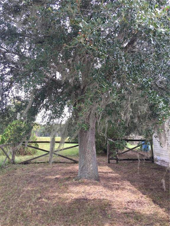 Groveland, FL 34736,4807 BRANTLEY RD