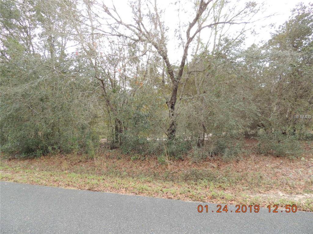 Summerfield, FL 34491,SE 159TH PL #lot 60