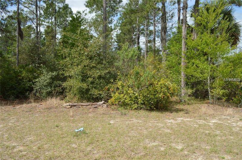 Umatilla, FL 32784,ROGER GILES RD