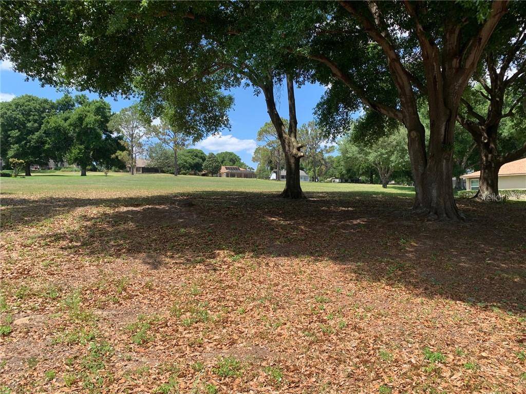 Lady Lake, FL 32159,Lot 17 GRIFFIN LNDG