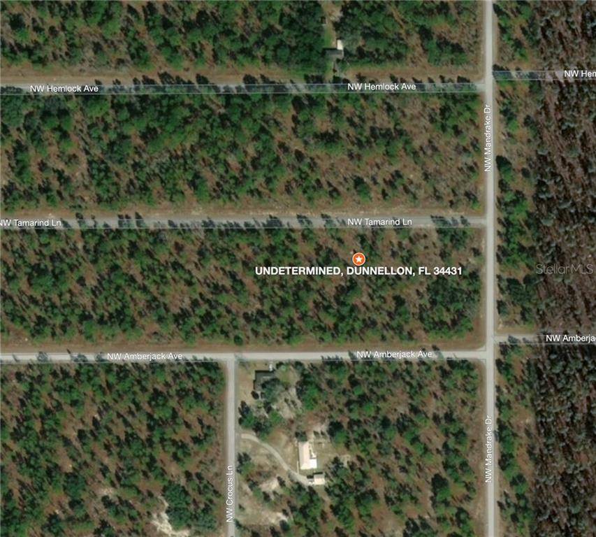 Dunnellon, FL 34431,NW TAMARIND LN