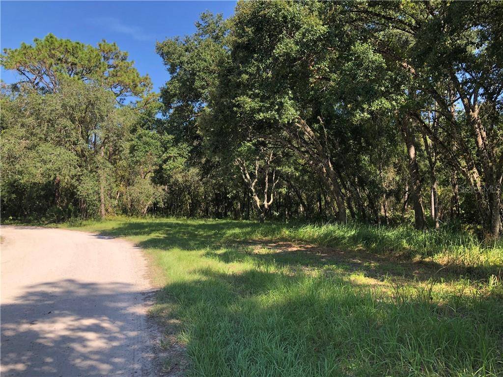 Chuluota, FL 32766,SW MILLS CREEK