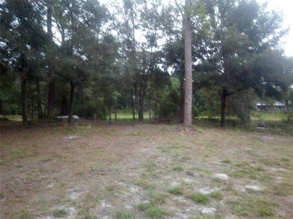 Winter Springs, FL 32708,206 MORTON LN