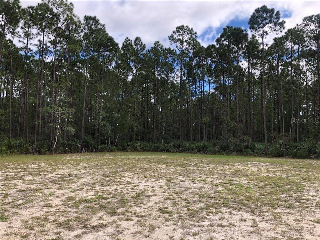 Mims, FL 32754,911 WILD PINE RD