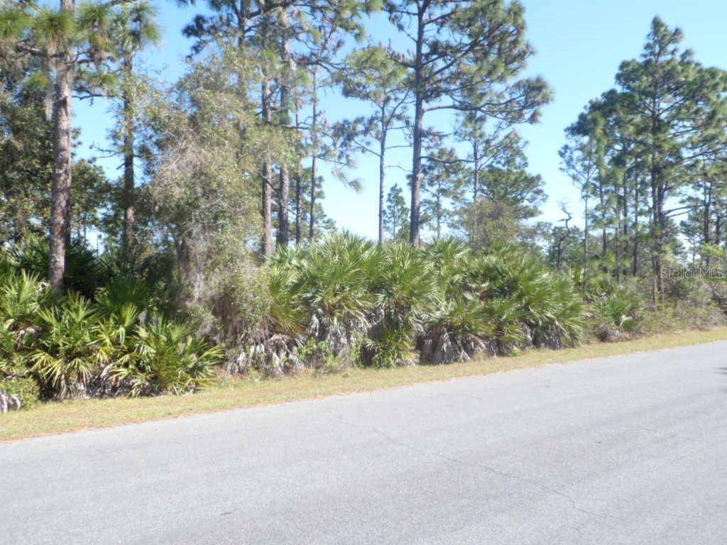 Orlando, FL 32833,Lot 116 RALSTON ST