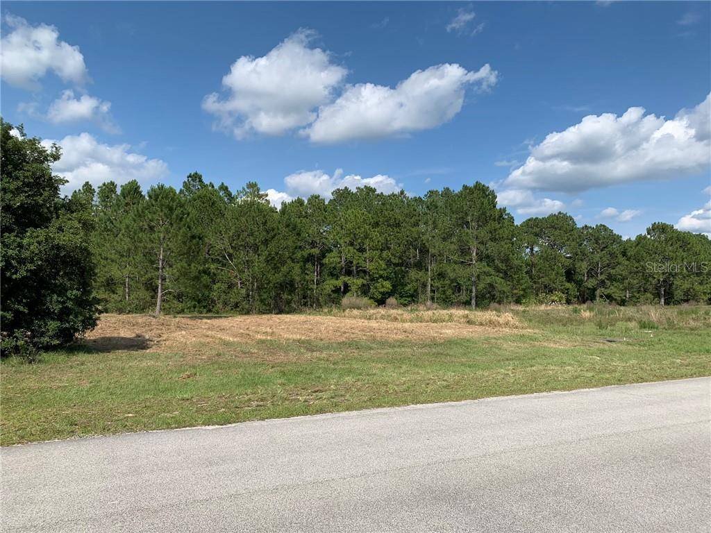 Clermont, FL 34714,Lot 25 GREENGROVE BLVD