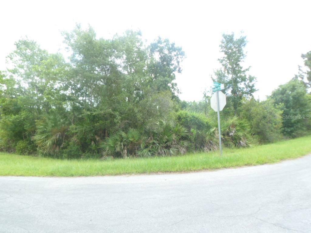 Orlando, FL 32833,Tract 72 WEST 150 FT PADDOCK ST