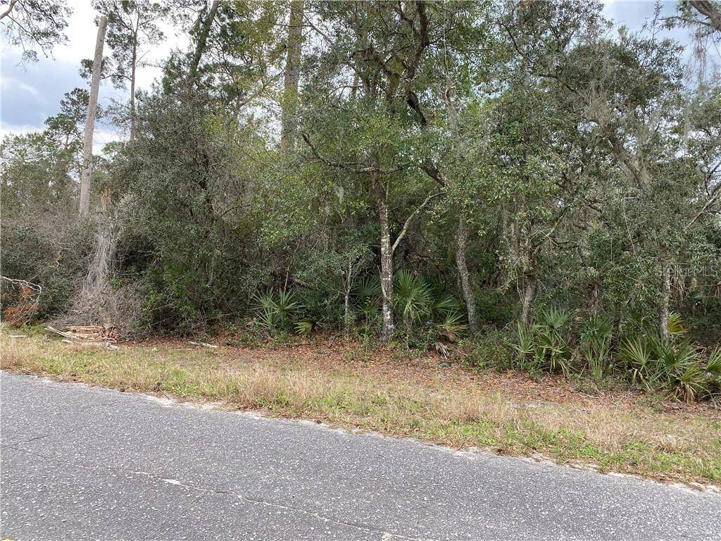 Paisley, FL 32767,FISHERMANS RD