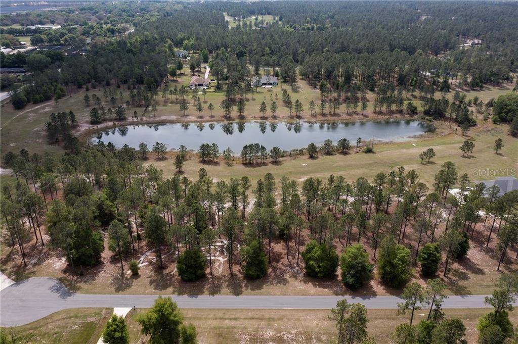 Eustis, FL 32736,35830 PINEGATE TRL #Lots 59