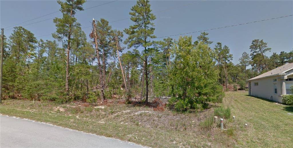 Homosassa, FL 34446,57 GRASS ST