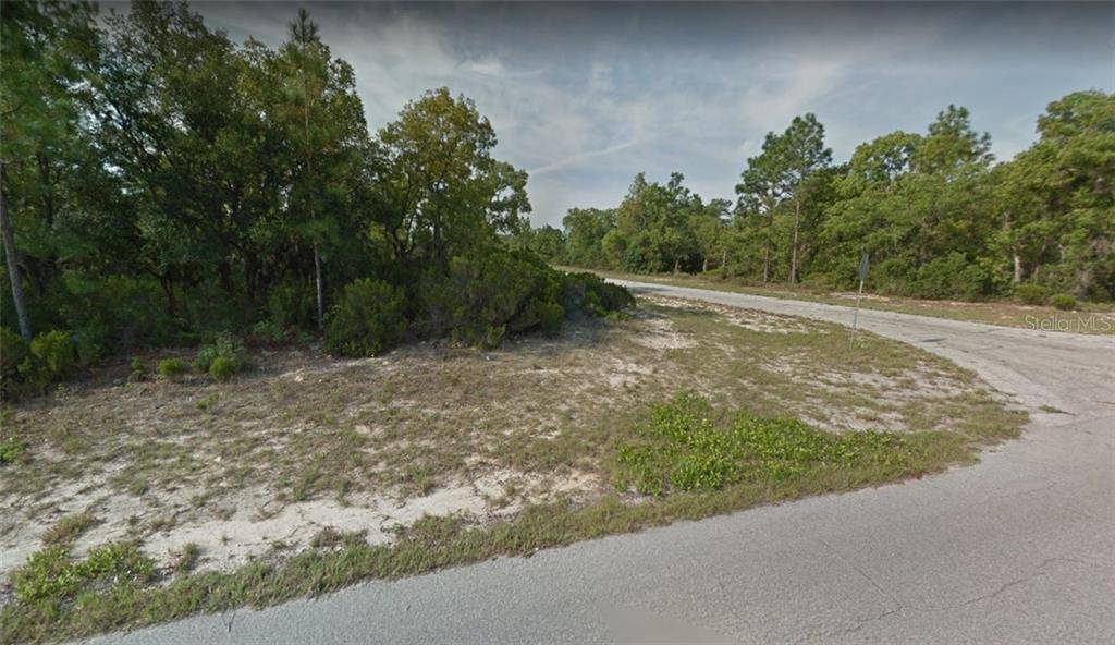 Citrus Springs, FL 34433,2898 W PINTADO DR