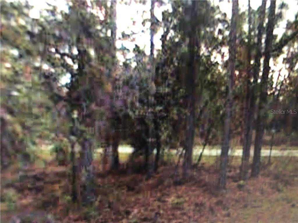 Dunnellon, FL 34431,000 NW MALLARD AVE