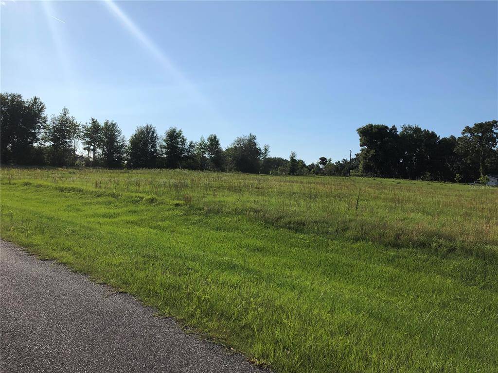 Oxford, FL 34484,0 NE 108TH LN LOT 44