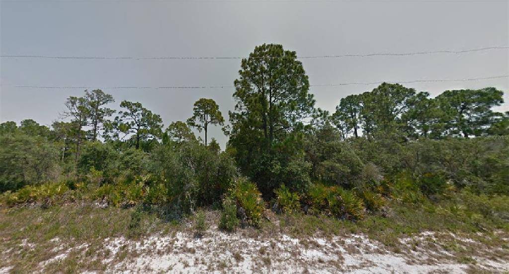 Lake Placid, FL 33852,109 CAPE RD NW