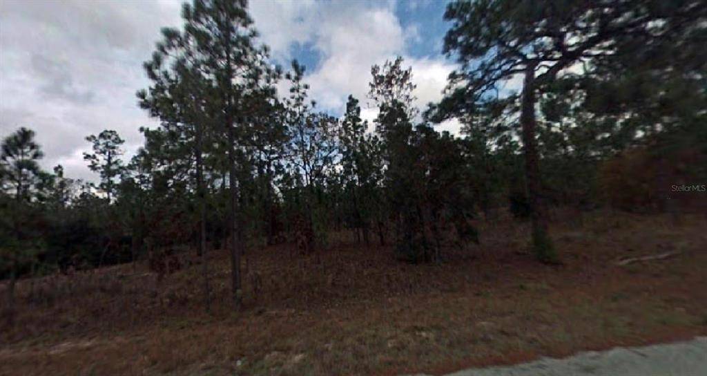 Dunnellon, FL 34431,SW FIG TREE LN