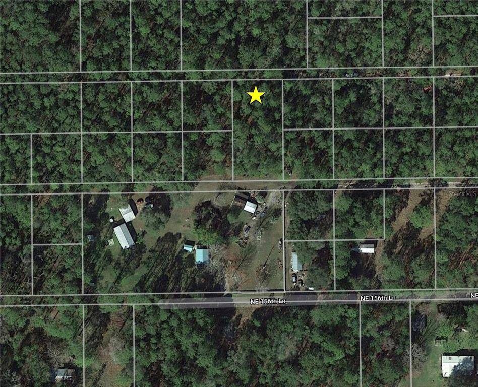 Fort Mc Coy, FL 32134,NE 156TH LN