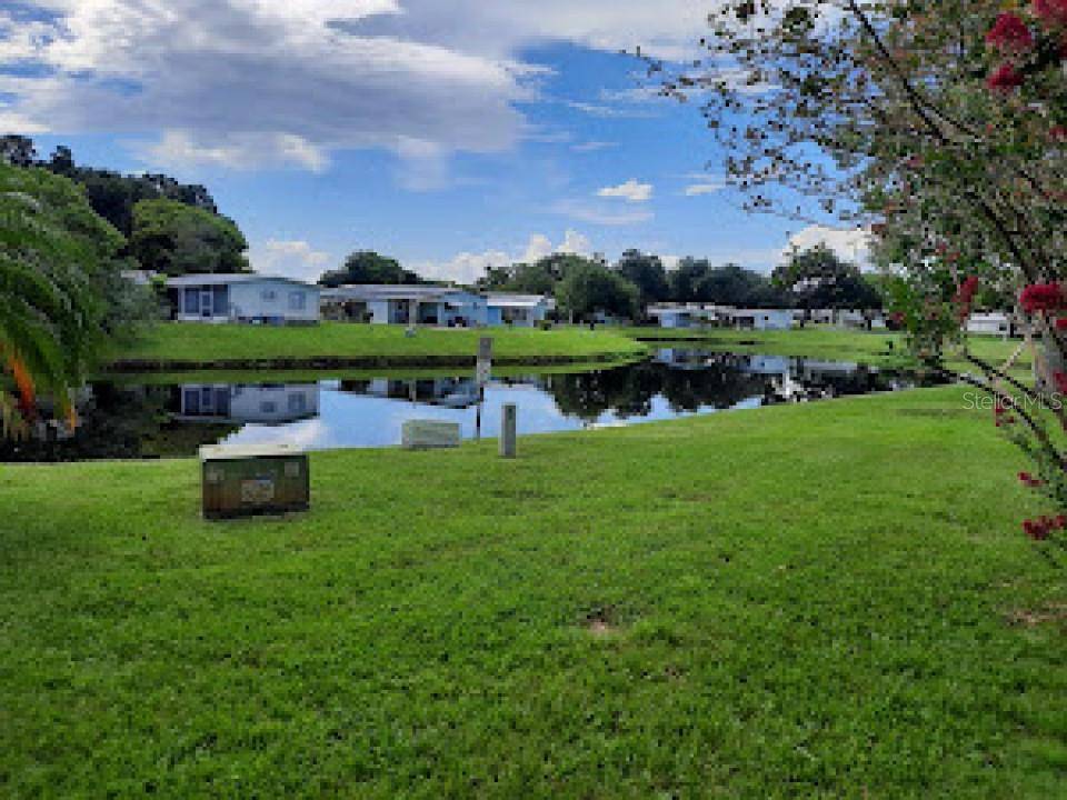 Safety Harbor, FL 34695,46 BIRCH CREEK DR #15