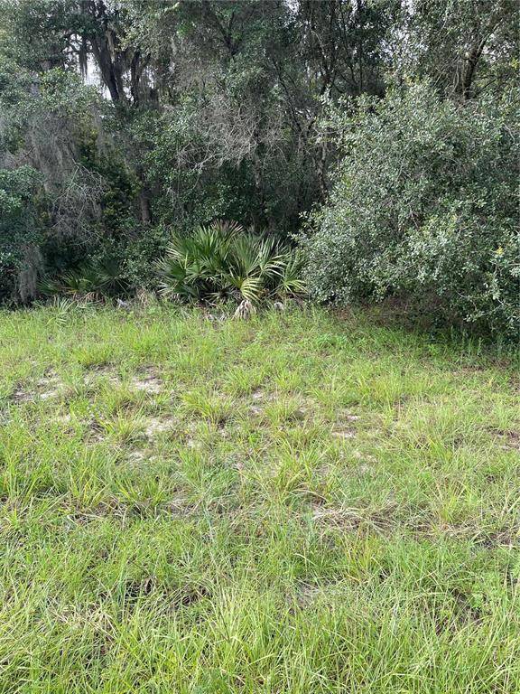 Ocala, FL 34473,MARION OAKS UNIT 7 LOT 23