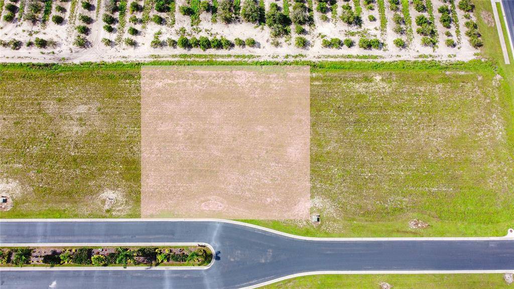 Auburndale, FL 33823,345 DORYMAN WAY