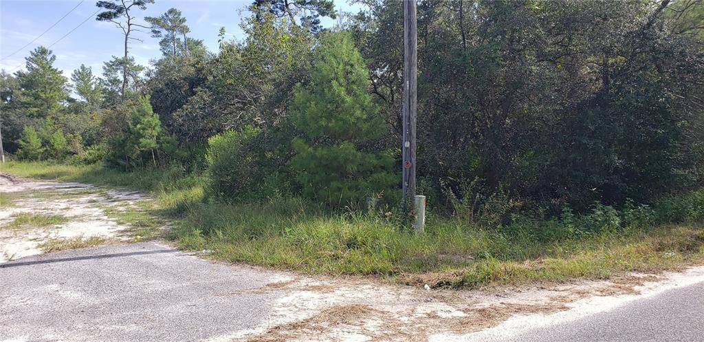 Paisley, FL 32767,Lot 17-24 PALMETTO ST