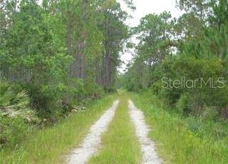 Pierson, FL 32180,520 VOLUSIAN FOREST TRL