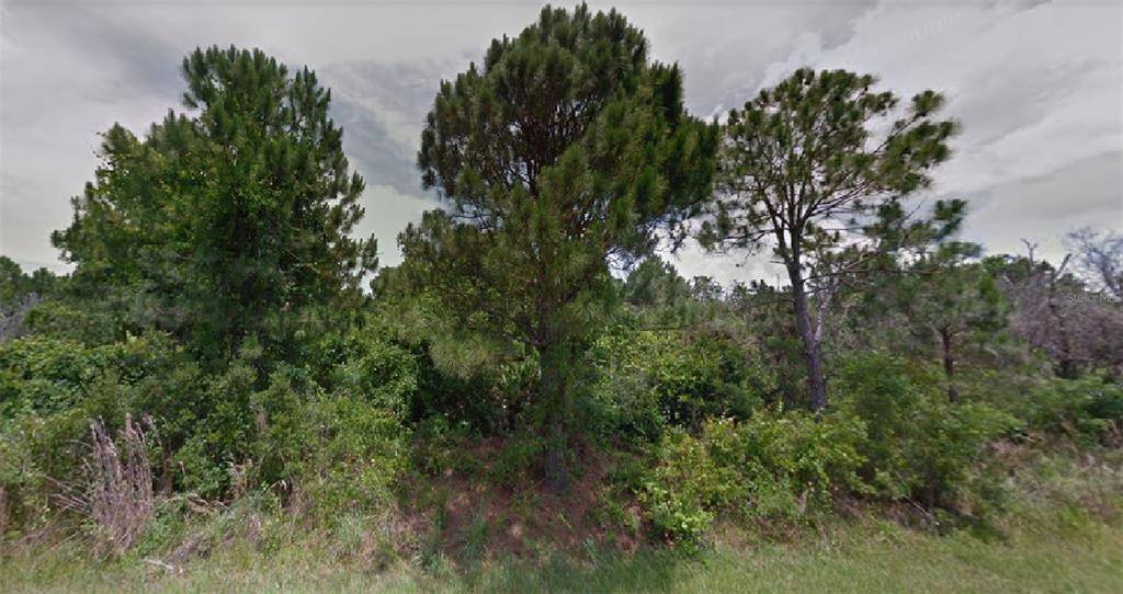 Sebring, FL 33872,6438 ALCALA AVE