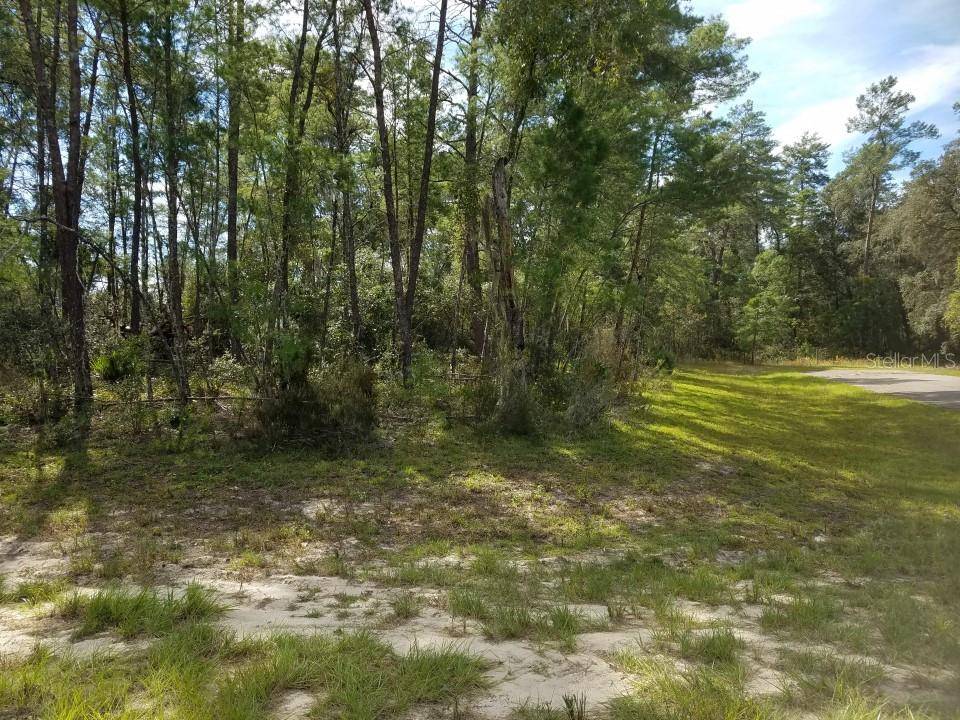 Ocala, FL 34473,1953 SW 32 CIR #Lot 1