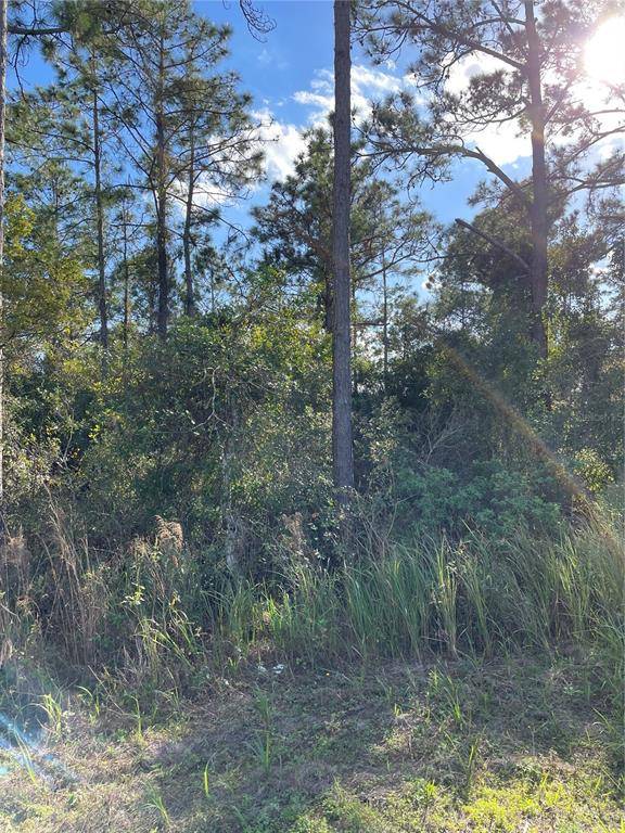 Saint Cloud, FL 34772,3125 HICKORY TREE RD